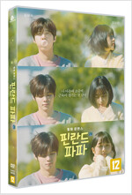 핀란드 파파 [DVD]: 힐링 로맨스/ 박수진 감독